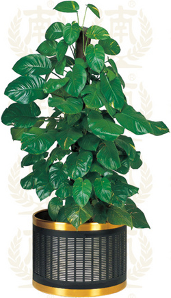 T-23A金格花盆