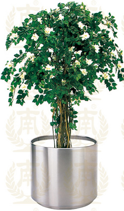 T-20 大堂花盆（沙紋鋼）