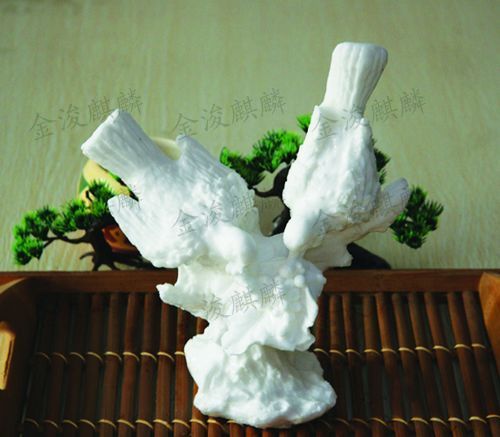 觅食（枝头鸟）-盐雕冰雕