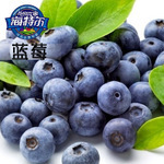 烘焙原料优质蓝莓