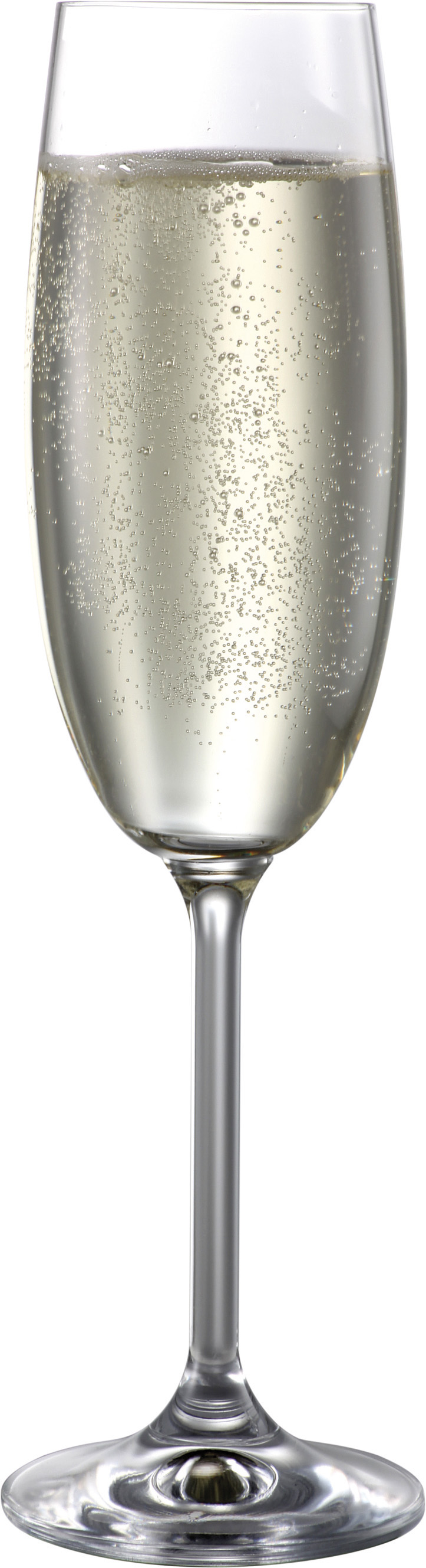 BOHEMIA CRISTAL 波尔卡-娜塔莉香槟酒杯