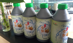 雪梨飲料濃漿