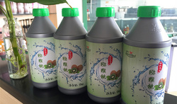 獼猴桃果粒濃漿