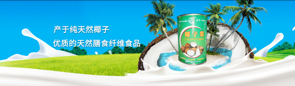 上海椰申实业有限公司