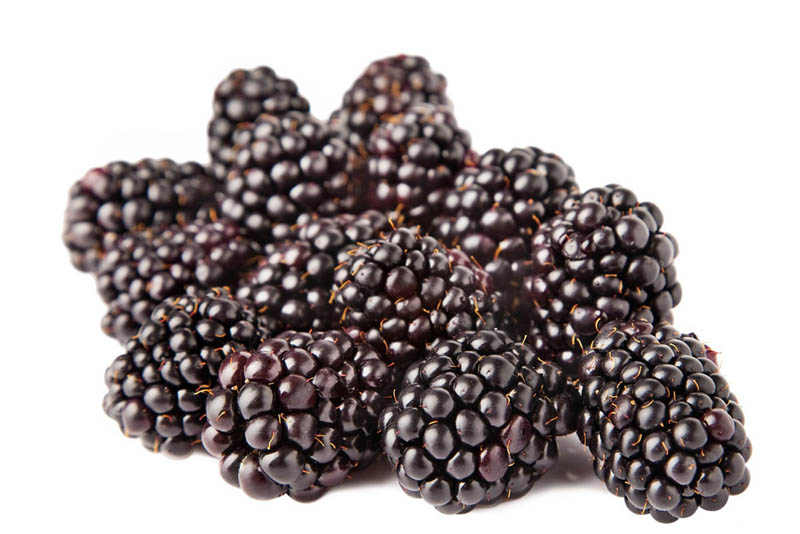 冷冻水果系列-黑莓