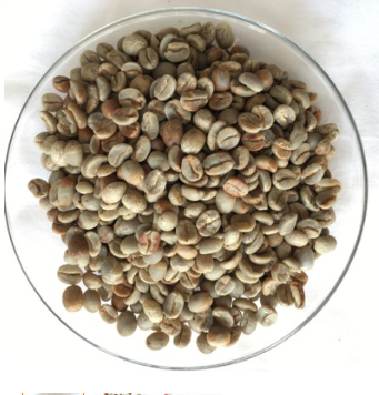 精选哥斯达黎加托布什庄园红蜜处理法咖啡生豆