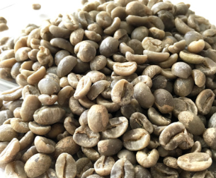 印尼爪哇珍彼得庄园（国有）水洗G1 精品庄园咖啡生豆 原产地采购