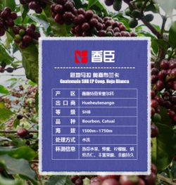  危地馬拉 奧嘉布蘭卡 精品進(jìn)口咖啡生豆