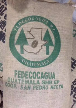 危地马拉 圣佩德罗内卡塔 进口咖啡生豆 整包未筛