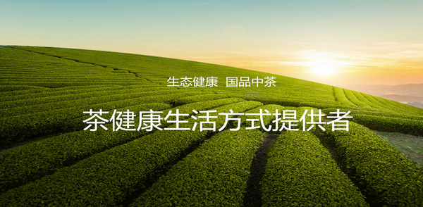 中国茶叶股份有限公司