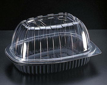 一次性烧烤餐盒