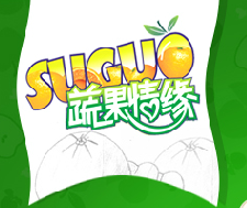 武汉蔬果情缘食品有限公司