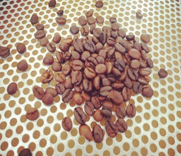 圣朵斯综合咖啡豆