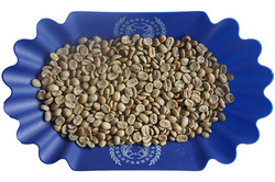 哥斯达黎加 - 塔拉珠咖啡豆