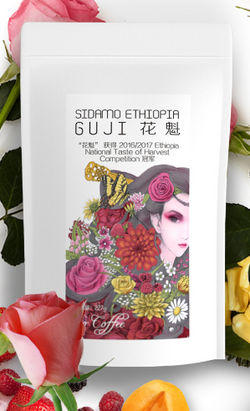 ［Origin］西達(dá)摩 花魁 G1咖啡豆