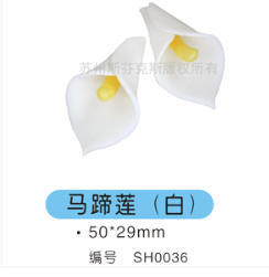 白色馬蹄蓮 巧克力裝飾