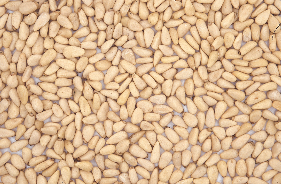 松子仁 Pine Nuts