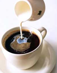 无脂型咖啡伴侣专用植脂末