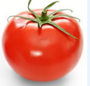 天然番茄红素