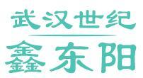 武汉世纪鑫东阳工贸有限公司