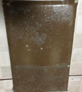 桡足类剑水蚤(FROZEN Copepoda cyclop)