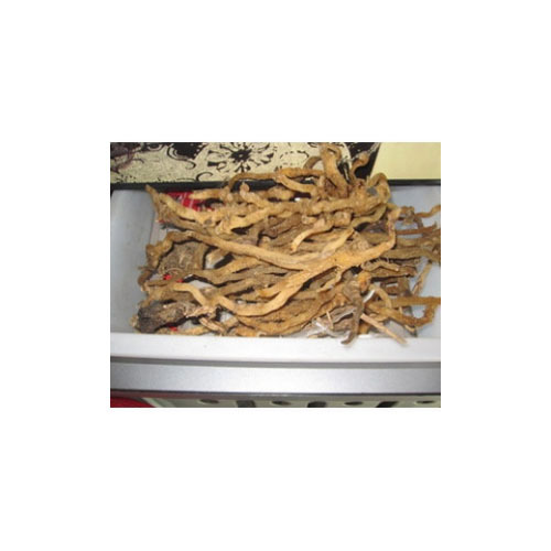 野生小玉竹-玉竹条