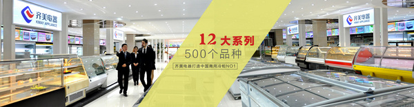 合肥市齐美电器有限公司