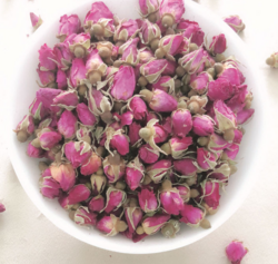 苦水玫瑰花蕾