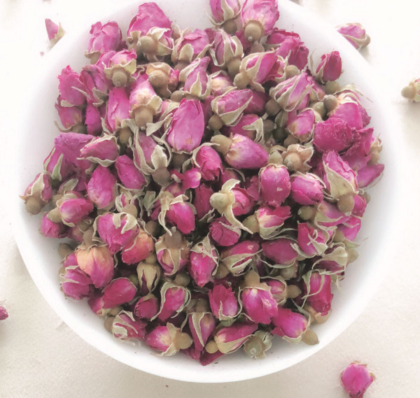 苦水玫瑰花蕾