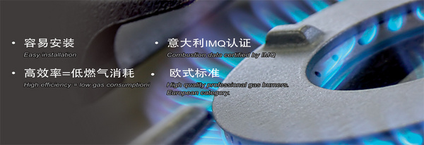 邯郸焱大燃气具制造有限公司