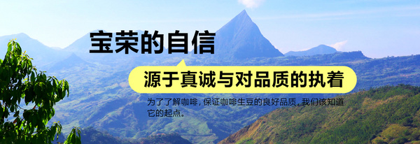 上海宝荣国际贸易有限公司