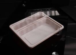 一次性打包餐盒