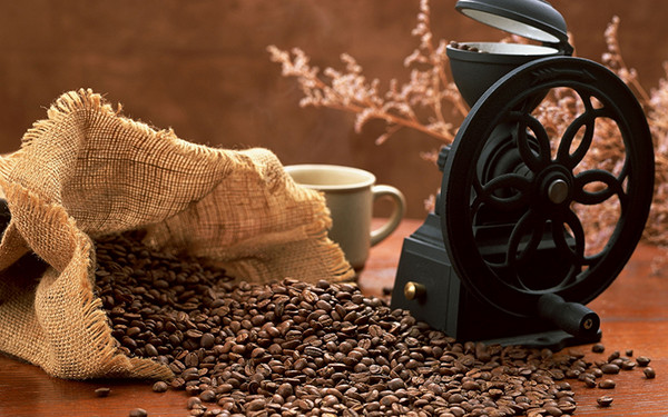 家用咖啡壶哪种好 选择需要讲究的事项是什么