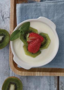 Fruit Yoghurt 手工酸奶