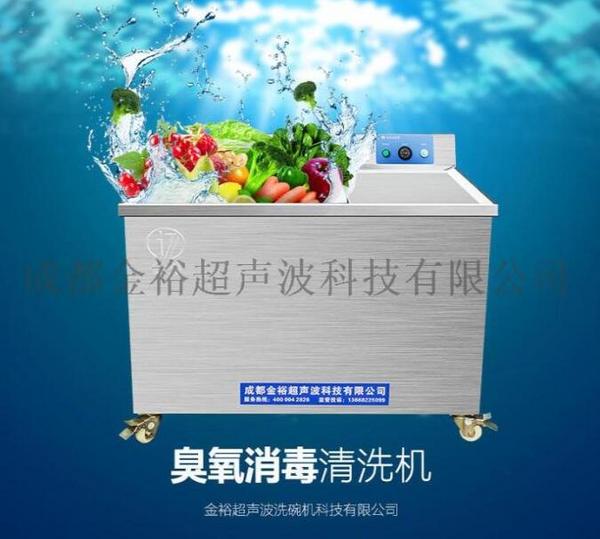 全自動(dòng)臭氧消毒機(jī)清洗機(jī) 