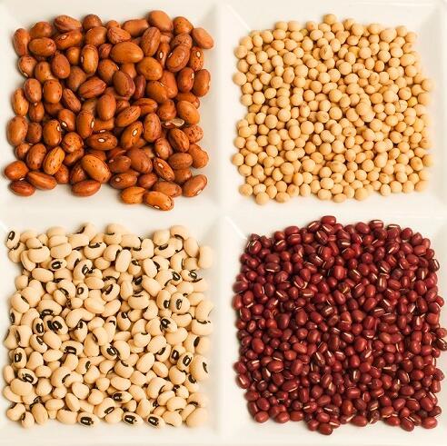 大豆、小麦、玉米和淀粉、杂粮