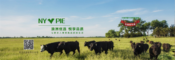 山东纽派食品有限公司