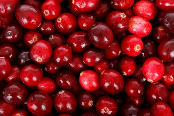 活力蔓越莓饮料有什么样的功效和作用