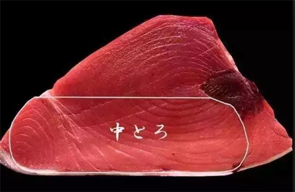 中腹(中腩,中肥,中トロ,chutoro):鱼腹后方的鱼腩部位