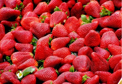 草莓奶昔粉有哪些食疗价值