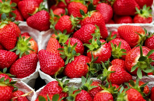 草莓奶昔粉有哪些食疗价值