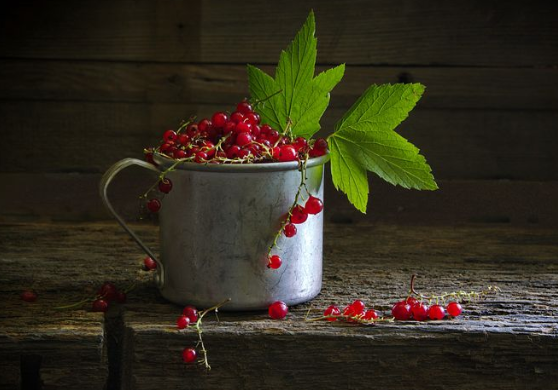 莓果水果茶有哪些特点？冲泡方式有哪些？