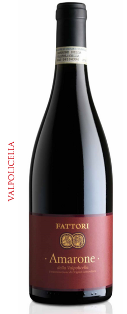 芬朵麗-阿瑪瑞恩紅葡萄酒 DOC 2010  Amarone della Valpolicella DOC 2010 