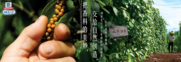 上海味好美食品有限公司 