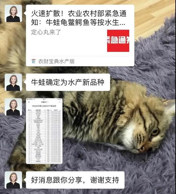 “野味”禁令下,多少餐饮老板被逼上绝路?