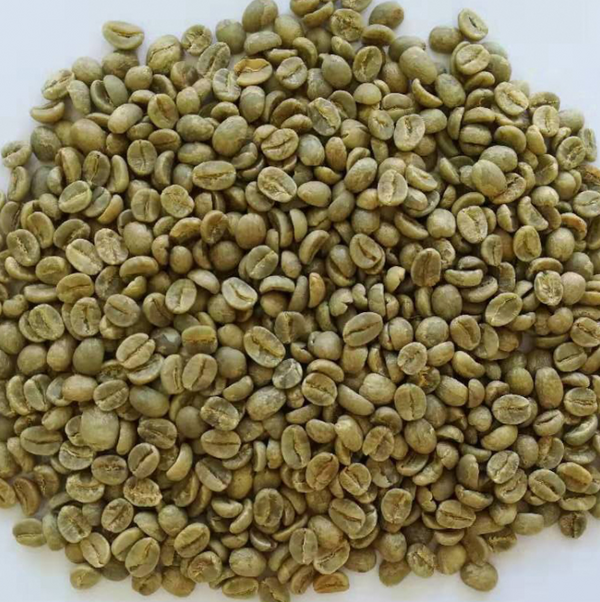 肯尼亚AA阿伯德尔山脉马赛 水洗