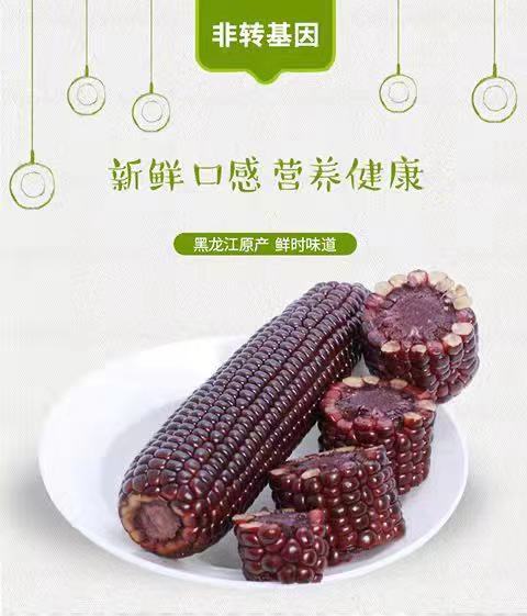 麦熹特甜糯玉米