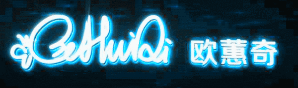 浙江欧蕙奇贸易有限公司