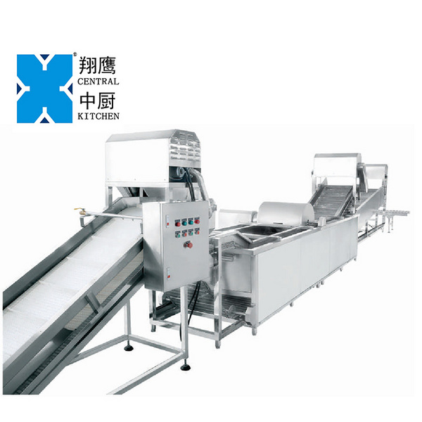 XYXC-C11 大型连续式叶菜类清洗线