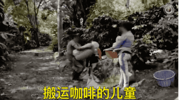 大家一起拒绝【虐童】咖啡